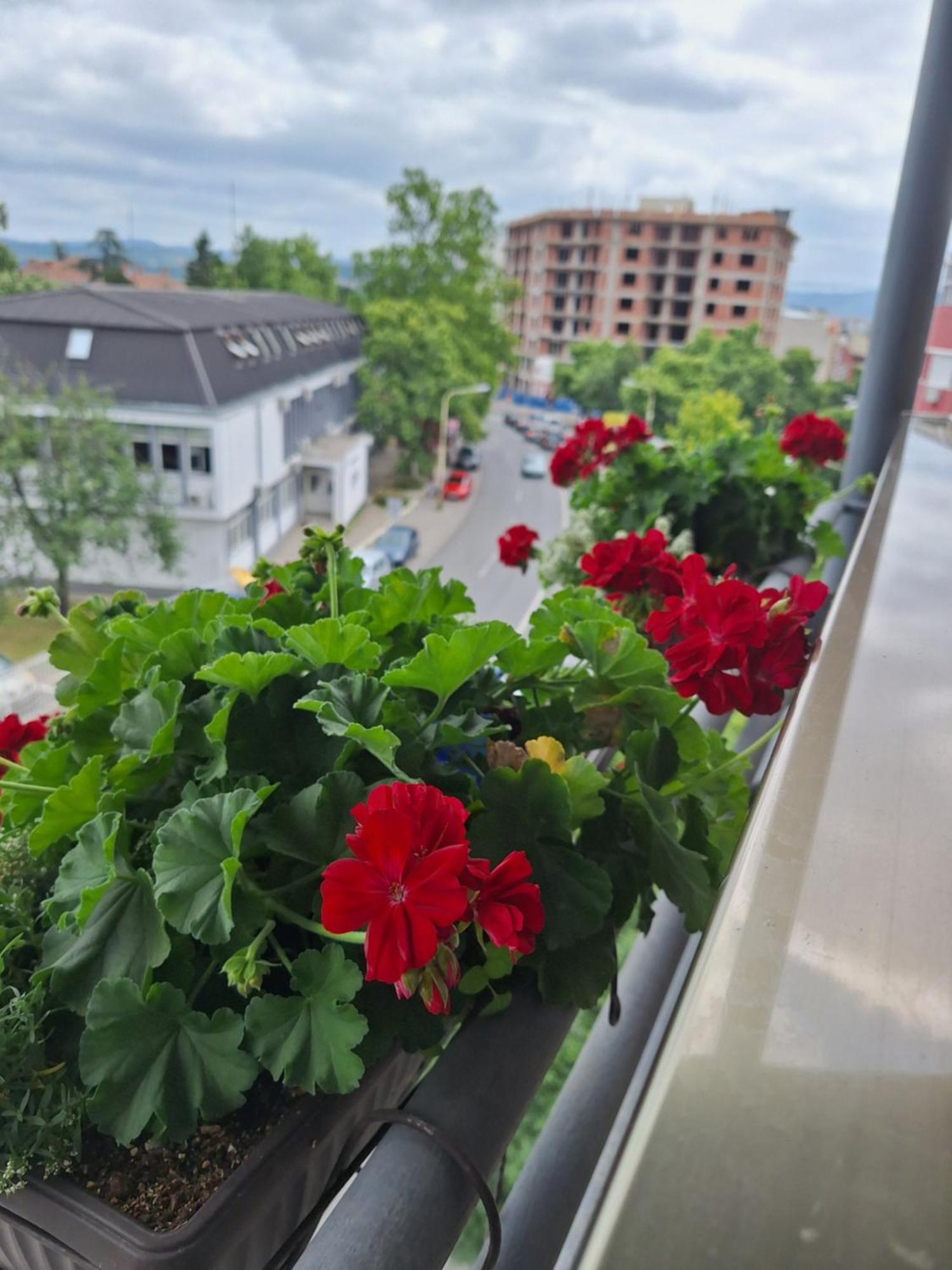 Garni Hotel Ema Kragujevac Exterior foto
